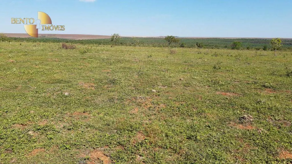 Fazenda à venda de 200 ha em Rondonópolis, MT, Brasil