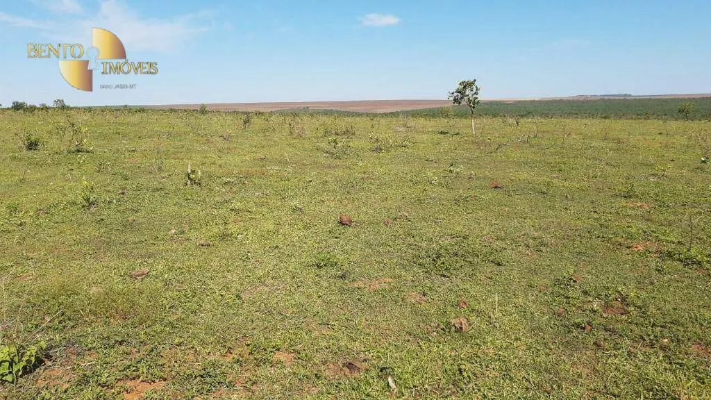 Fazenda à venda de 200 ha em Rondonópolis, MT, Brasil