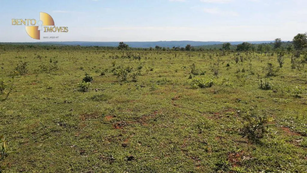 Fazenda à venda de 200 ha em Rondonópolis, MT, Brasil