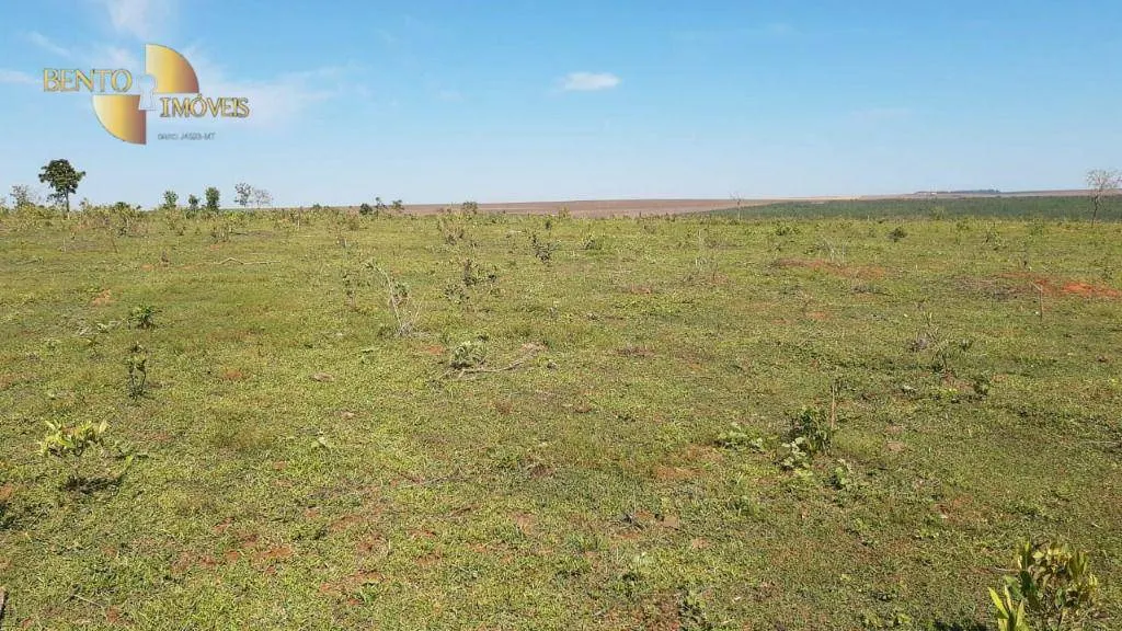 Fazenda à venda de 200 ha em Rondonópolis, MT, Brasil