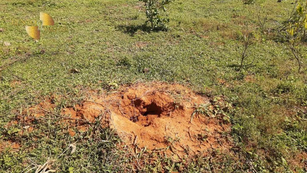 Fazenda à venda de 200 ha em Rondonópolis, MT, Brasil