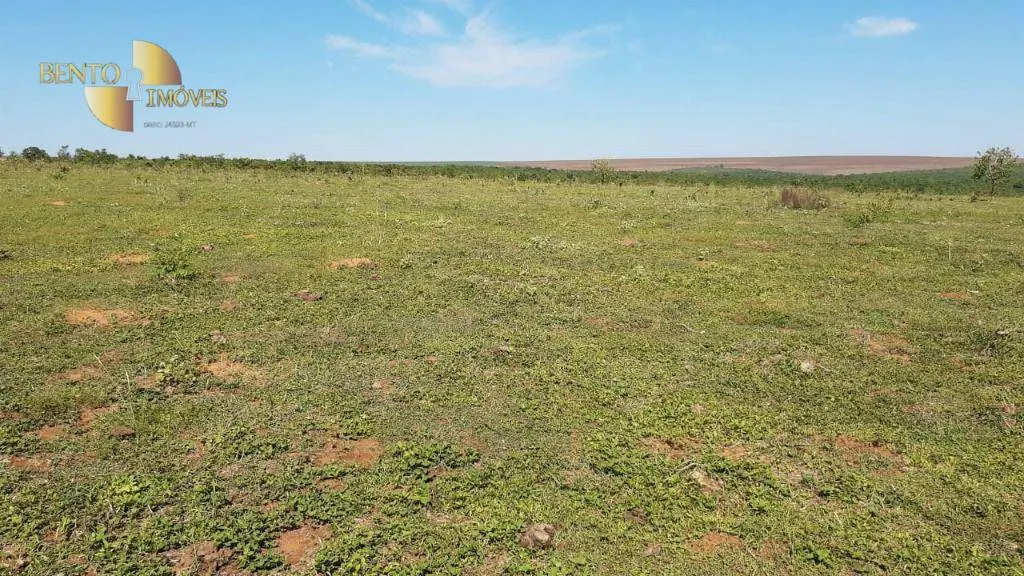 Fazenda à venda de 200 ha em Rondonópolis, MT, Brasil
