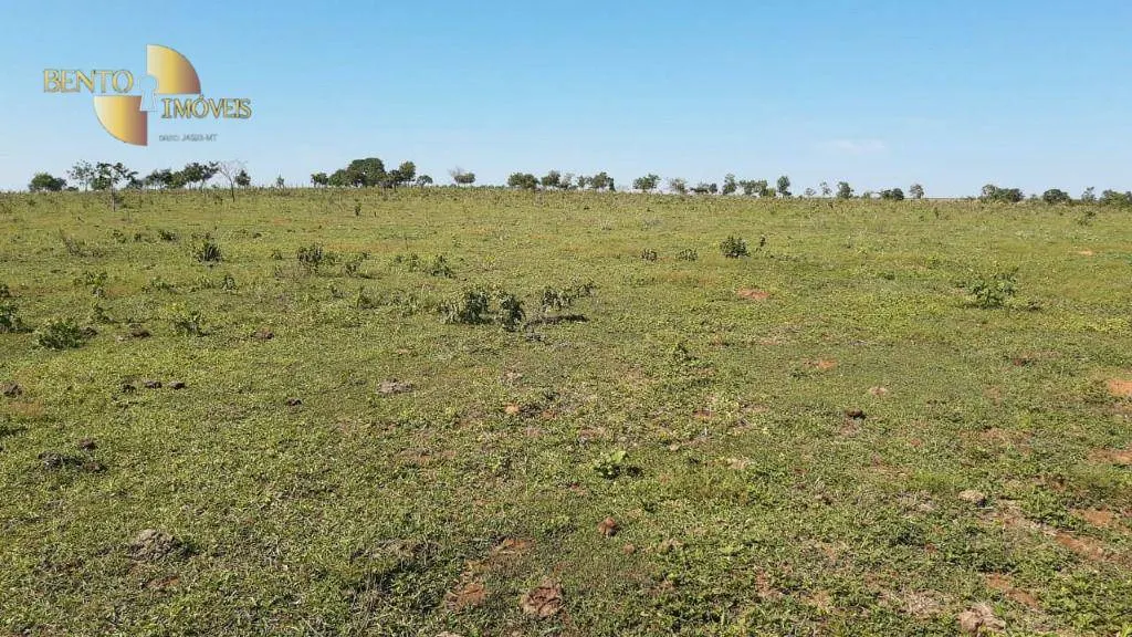 Fazenda à venda de 200 ha em Rondonópolis, MT, Brasil