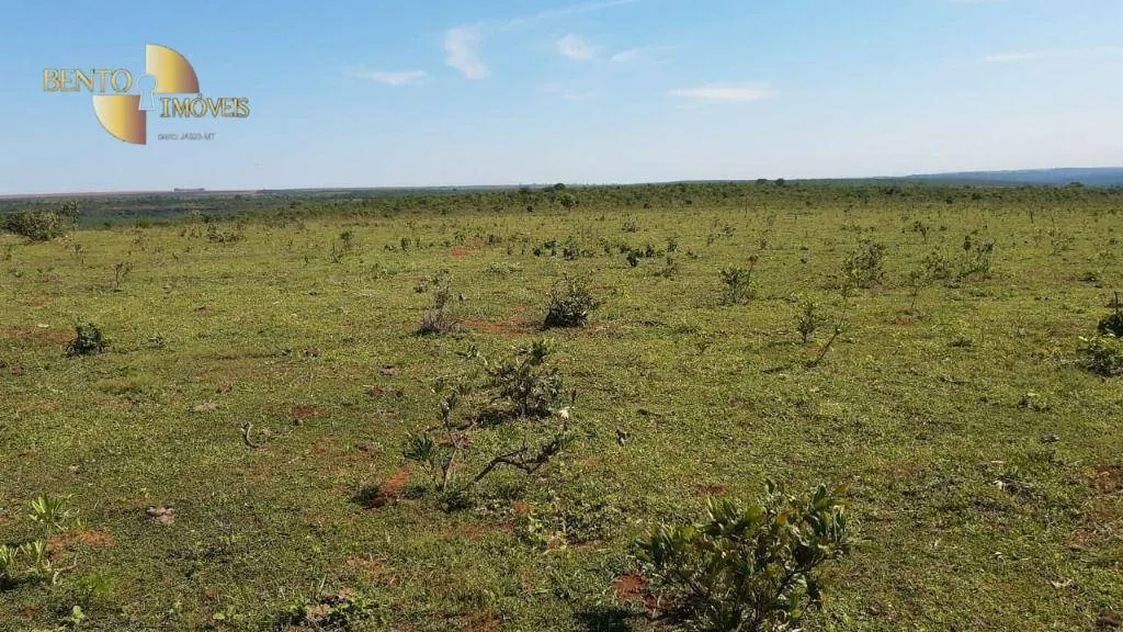 Fazenda à venda de 200 ha em Rondonópolis, MT, Brasil
