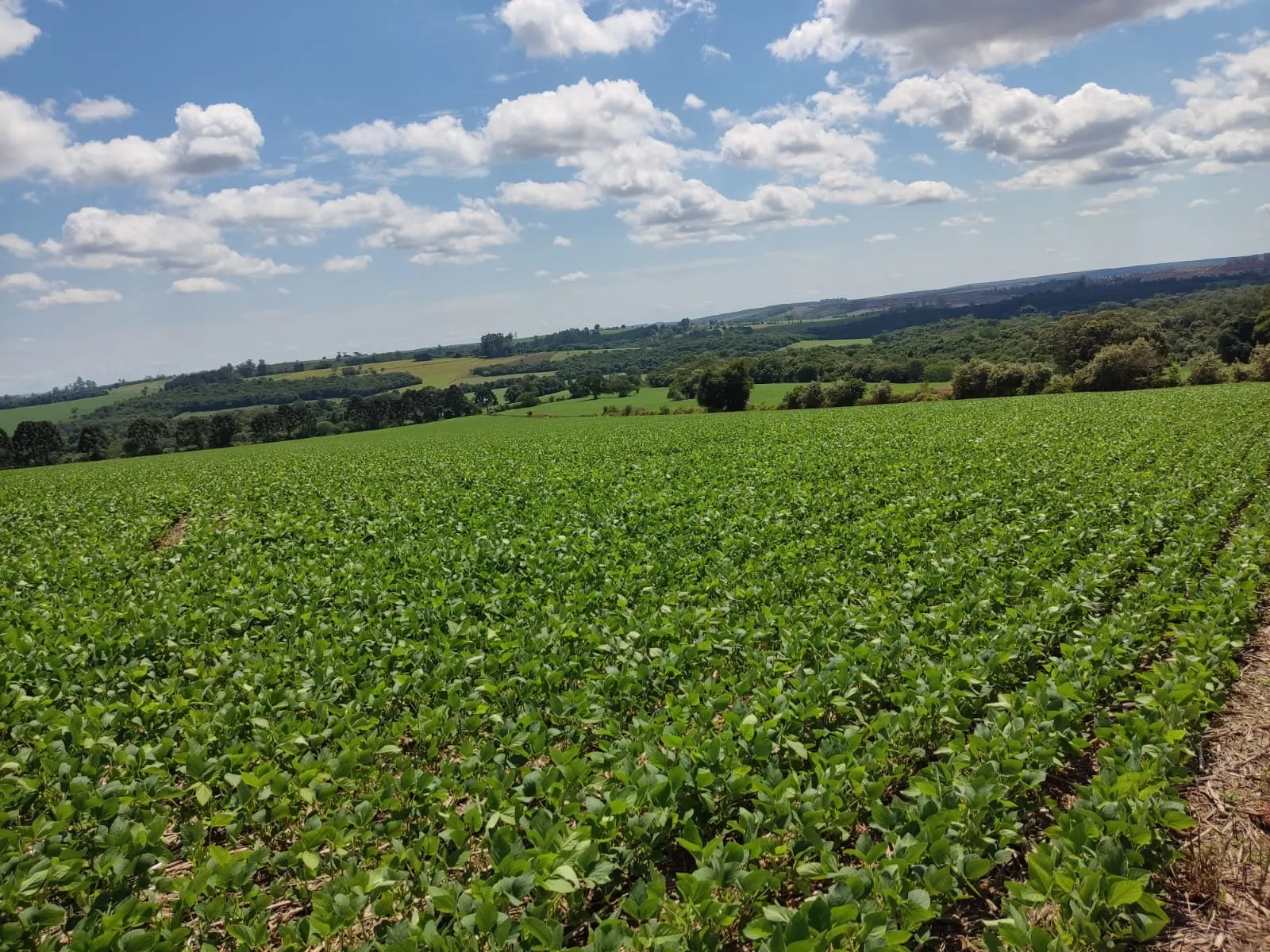 Fazenda à venda de 329 ha em Capão Bonito, SP, Brasil