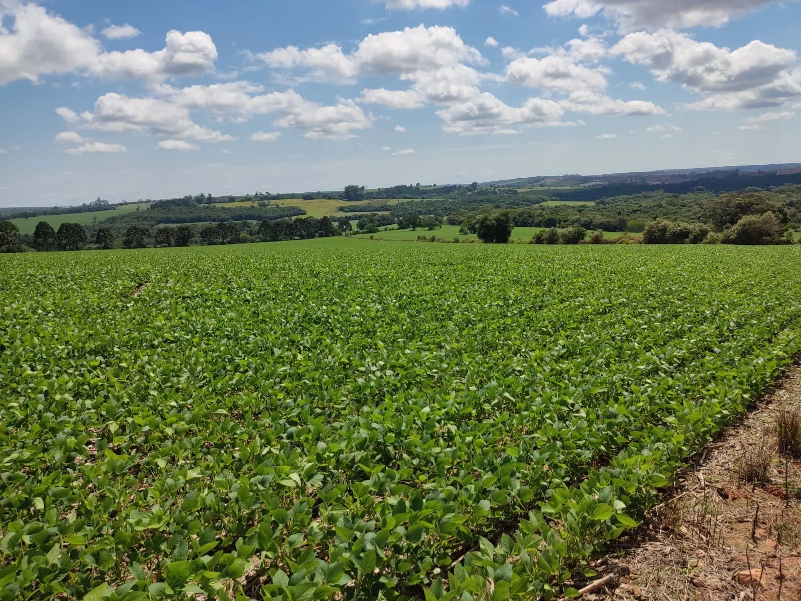 Fazenda à venda de 329 ha em Capão Bonito, SP, Brasil