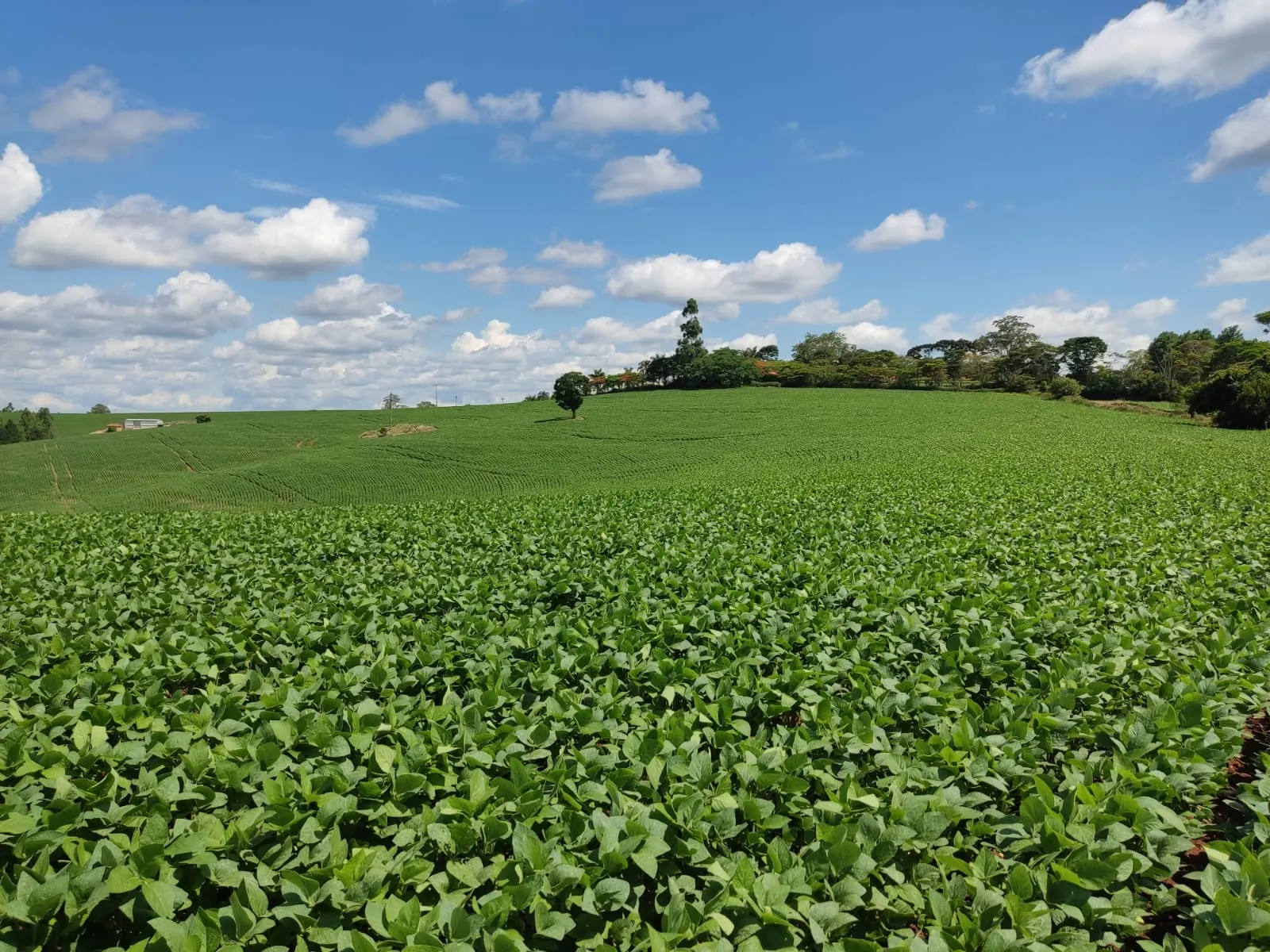 Fazenda à venda de 329 ha em Capão Bonito, SP, Brasil