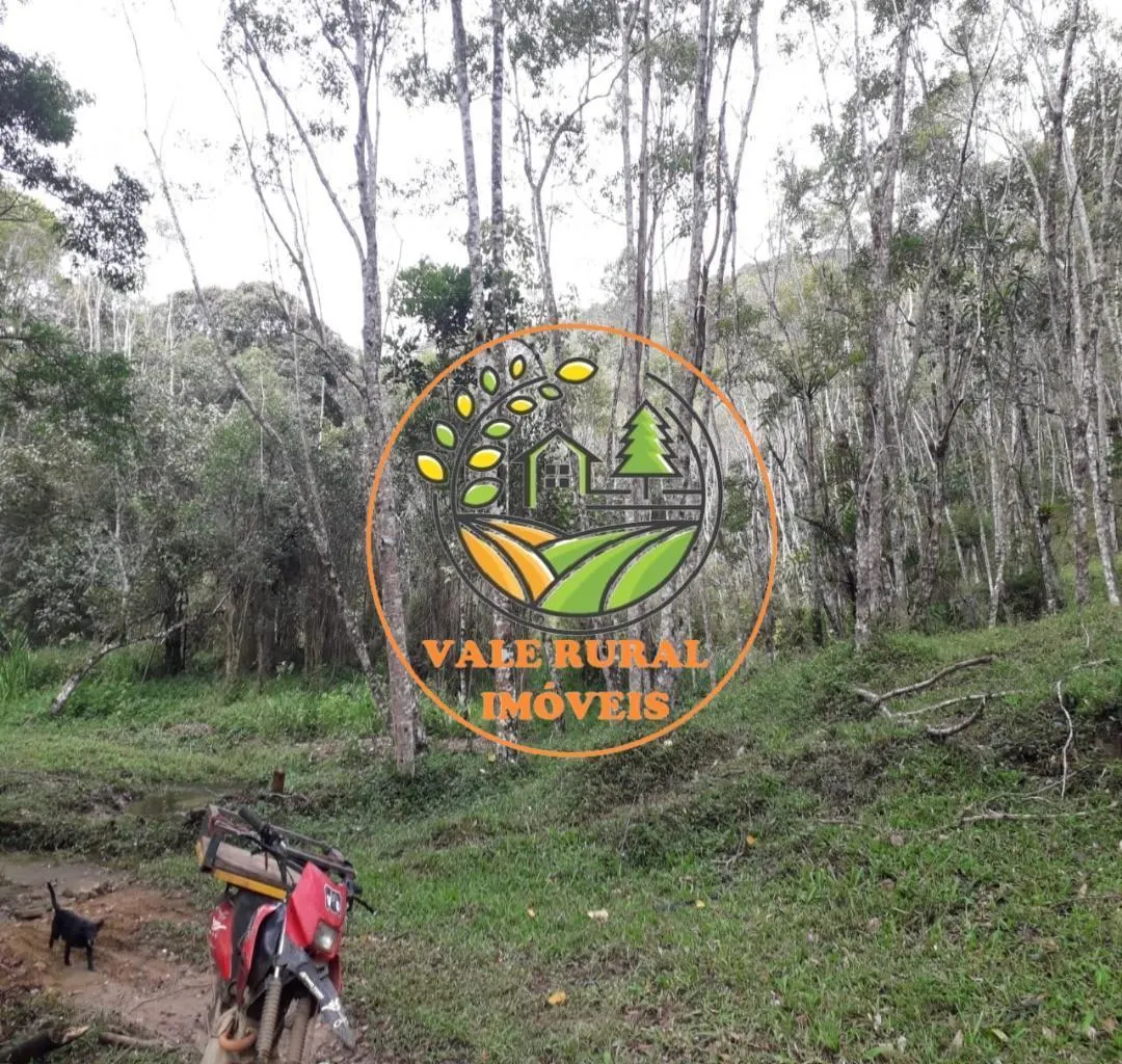 Fazenda à venda de 152 ha em Natividade da Serra, SP, Brasil