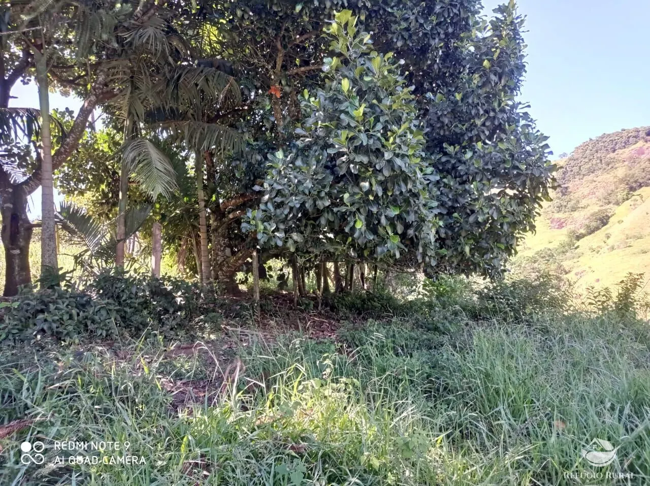 Sítio à venda de 12 ha em São José dos Campos, SP, Brasil