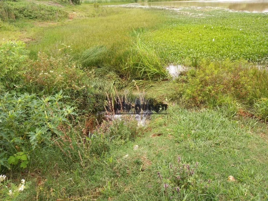 Fazenda à venda de 168 ha em Itapetininga, SP, Brasil