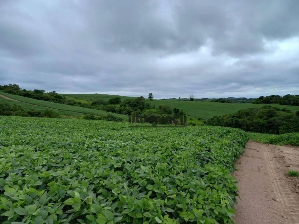 Fazenda à venda de 168 ha em Itapetininga, SP, Brasil