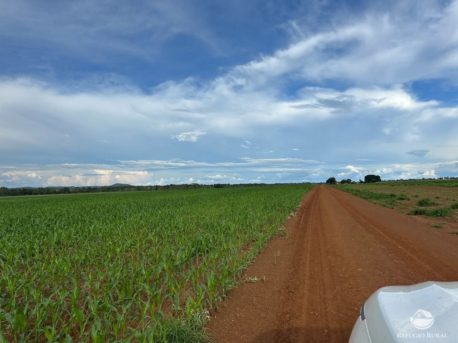 Fazenda à venda de 1.403 ha em Estreito, MA, Brasil