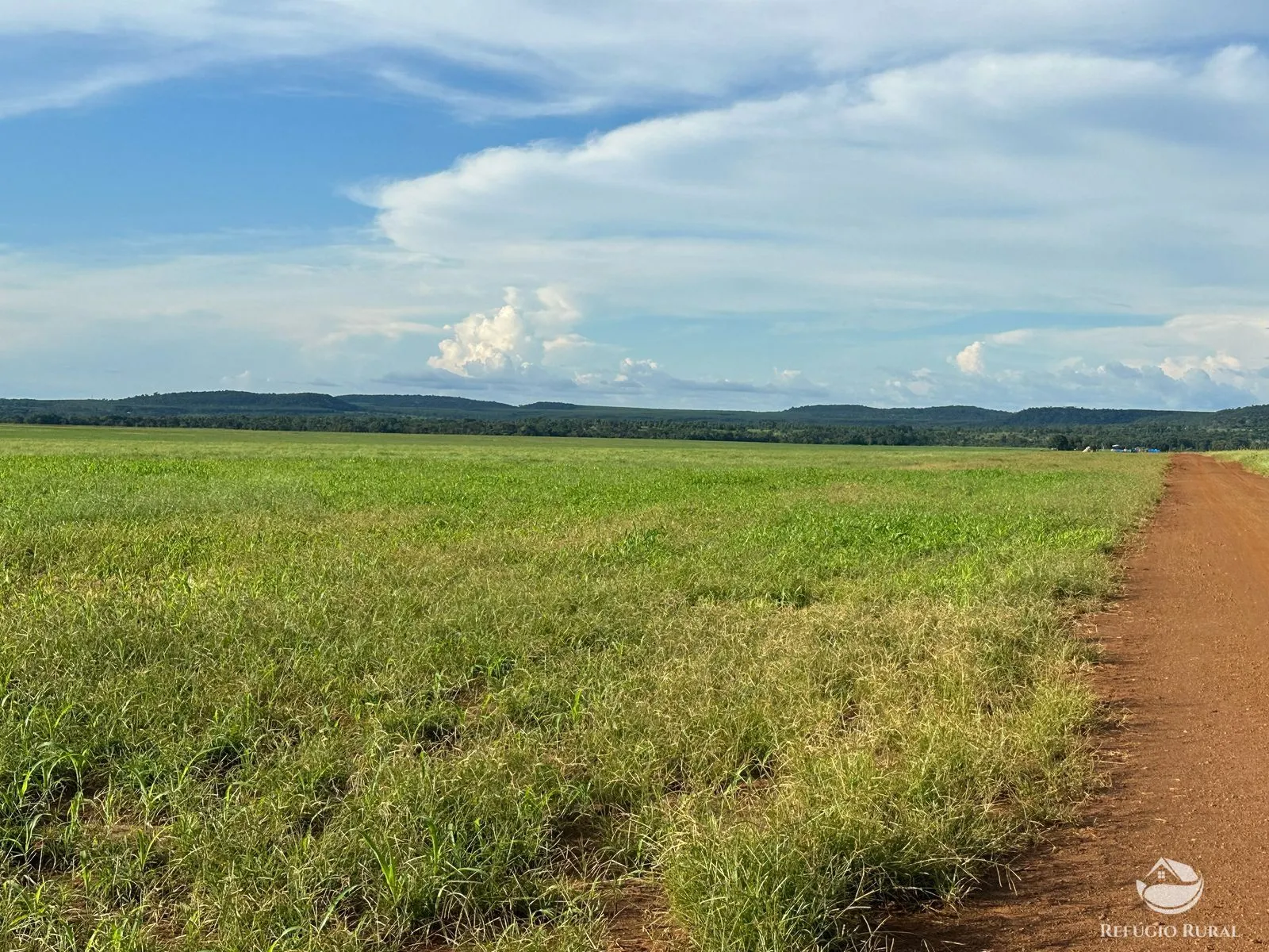 Fazenda à venda de 1.403 ha em Estreito, MA, Brasil