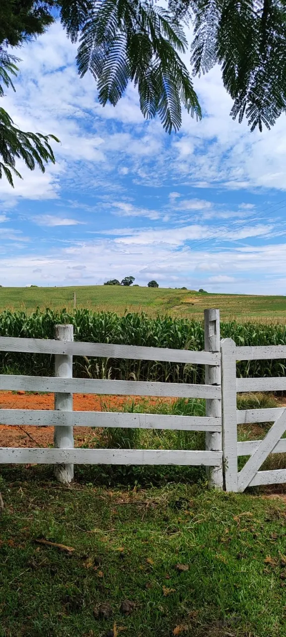 Fazenda à venda de 43 ha em Itapetininga, SP, Brasil