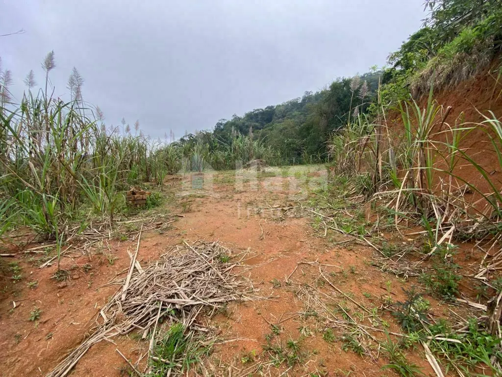 House for sale and to rent of 2 acres in Brusque, SC, Brazil