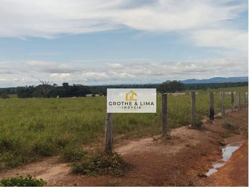 Fazenda à venda de 8.896 ha em Araguaína, TO, Brasil