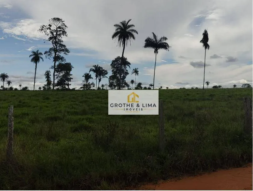 Fazenda à venda de 8.896 ha em Araguaína, TO, Brasil