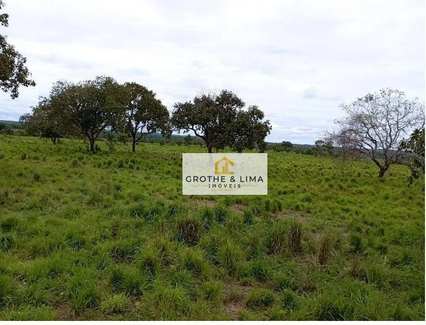 Fazenda à venda de 8.896 ha em Araguaína, TO, Brasil