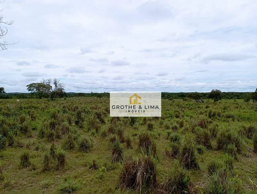 Fazenda à venda de 8.896 ha em Araguaína, TO, Brasil