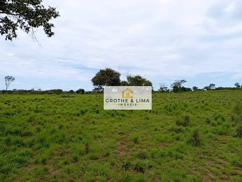 Fazenda à venda de 8.896 ha em Araguaína, TO, Brasil