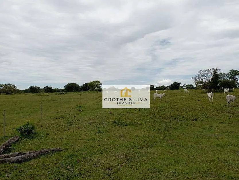 Fazenda à venda de 8.896 ha em Araguaína, TO, Brasil
