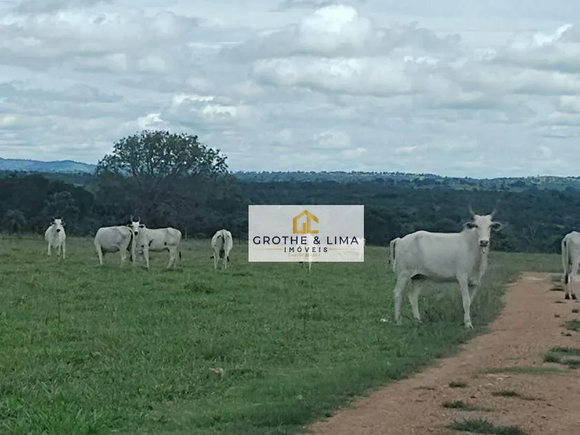 Fazenda à venda de 8.896 ha em Araguaína, TO, Brasil