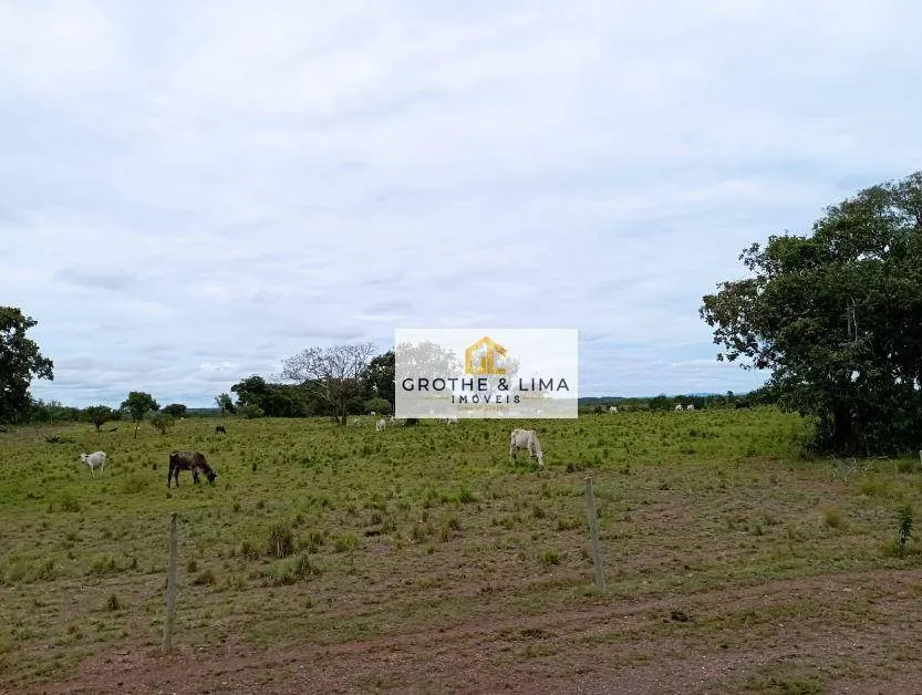 Fazenda à venda de 8.896 ha em Araguaína, TO, Brasil