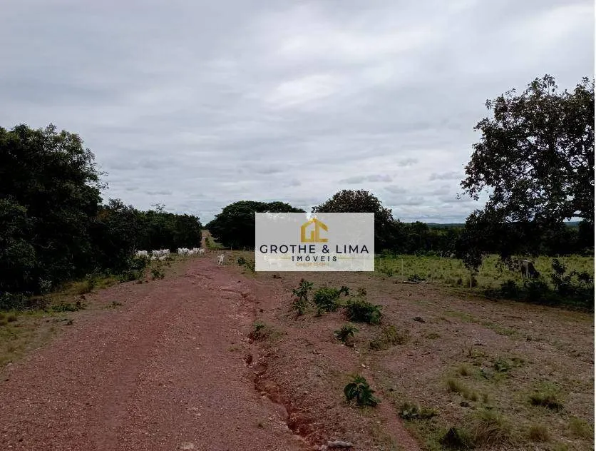 Fazenda à venda de 8.896 ha em Araguaína, TO, Brasil