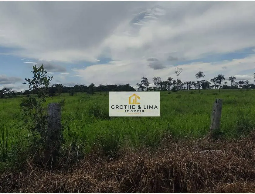 Fazenda à venda de 8.896 ha em Araguaína, TO, Brasil