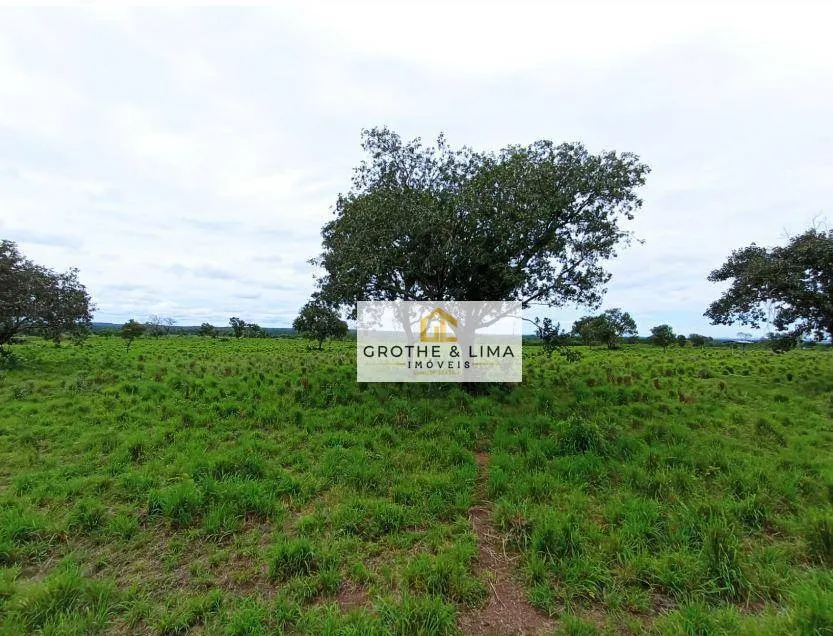 Fazenda à venda de 8.896 ha em Araguaína, TO, Brasil