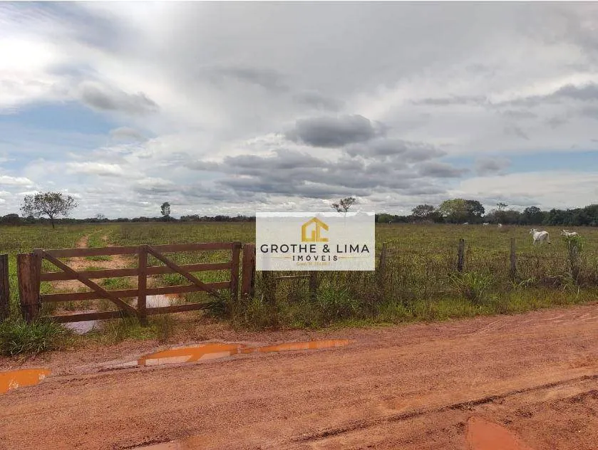 Fazenda à venda de 8.896 ha em Araguaína, TO, Brasil