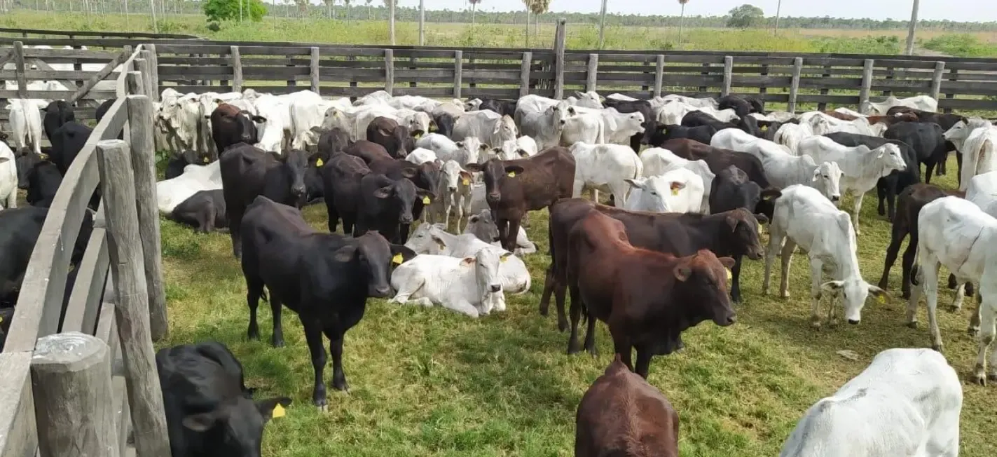 Fazenda à venda de 7.540 ha em Fuerte Olimpo, Paraguai
