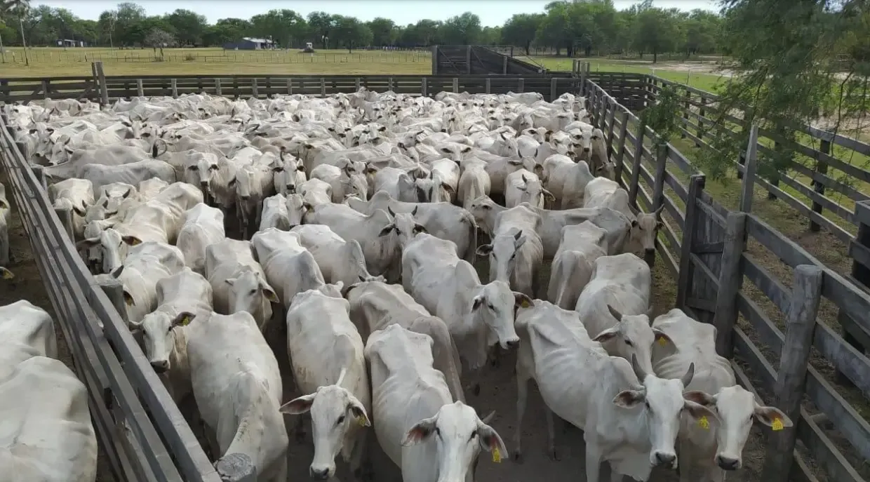 Fazenda à venda de 7.540 ha em Fuerte Olimpo, Paraguai