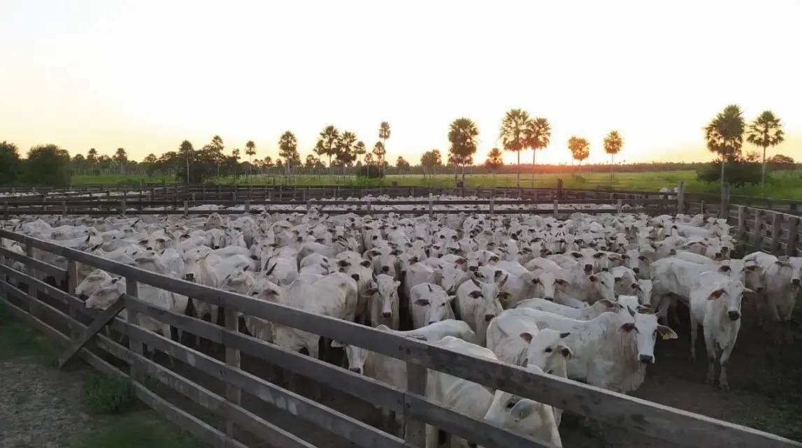 Fazenda à venda de 7.540 ha em Fuerte Olimpo, Paraguai