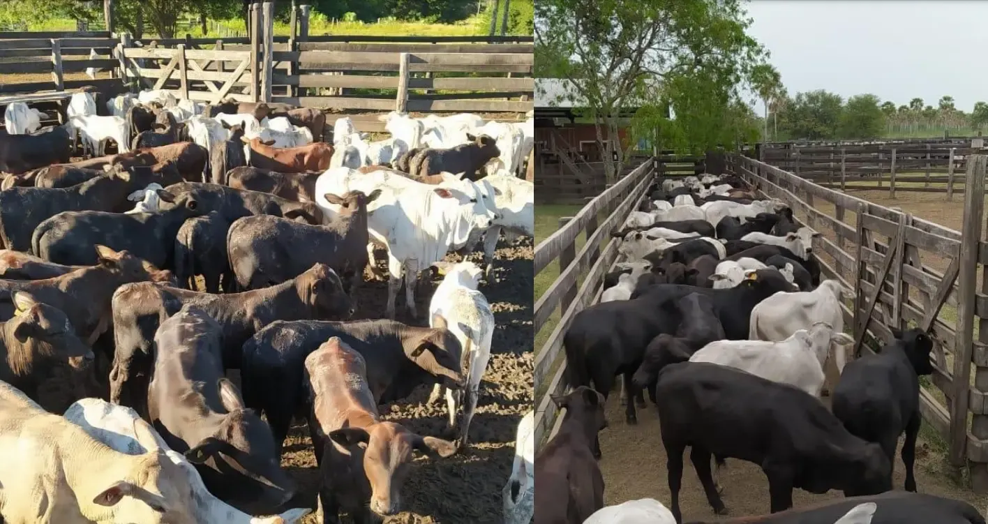 Fazenda à venda de 7.540 ha em Fuerte Olimpo, Paraguai