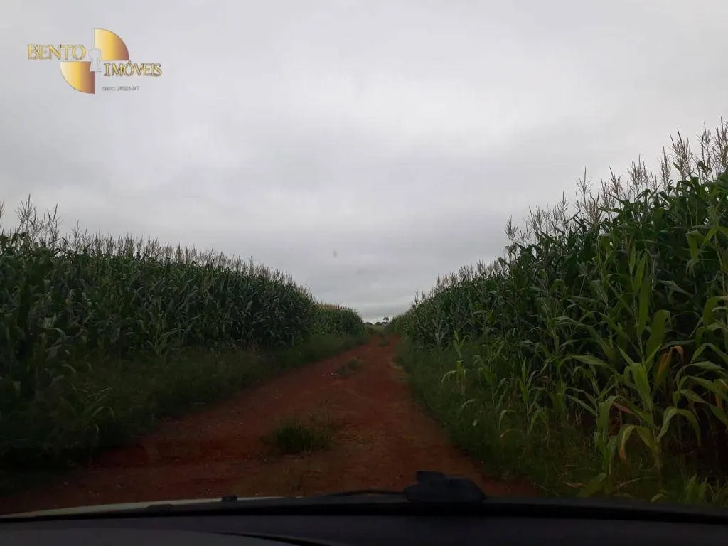 Fazenda à venda e para Arrendar de 1.830 ha em Brasnorte, MT, Brasil