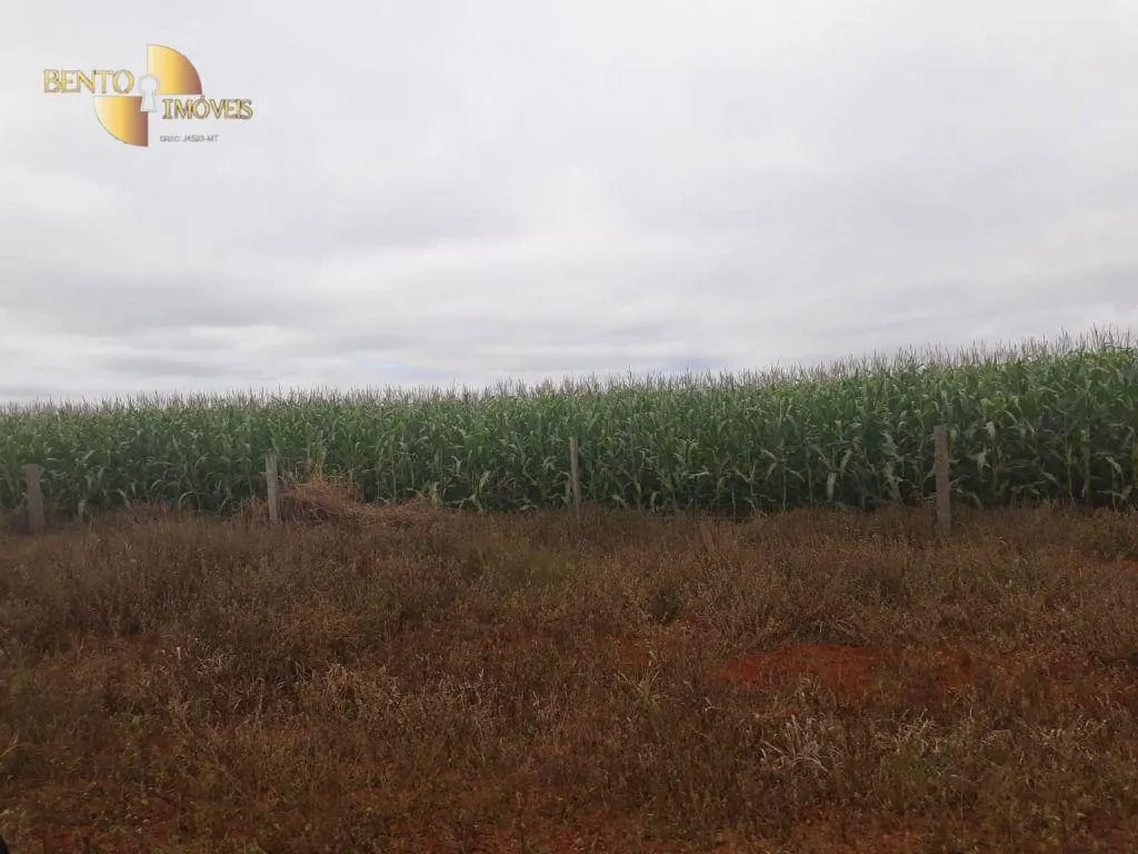 Fazenda à venda e para Arrendar de 1.830 ha em Brasnorte, MT, Brasil