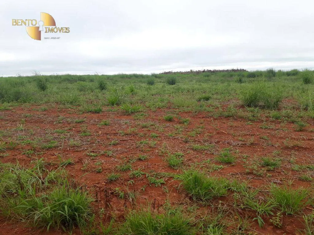 Fazenda à venda e para Arrendar de 1.830 ha em Brasnorte, MT, Brasil