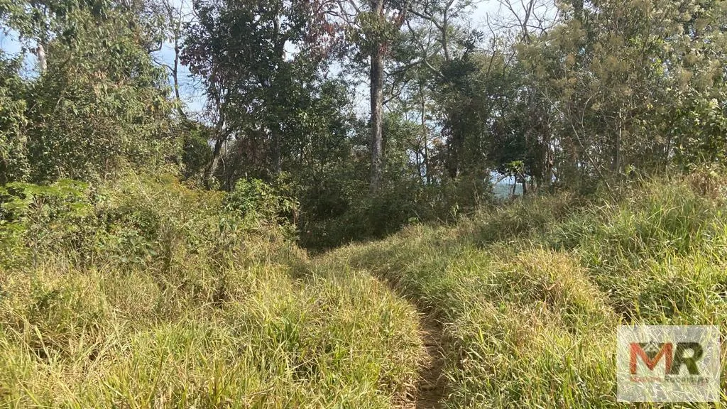 Terreno à venda de 55 ha em Cachoeira de Minas, MG, Brasil