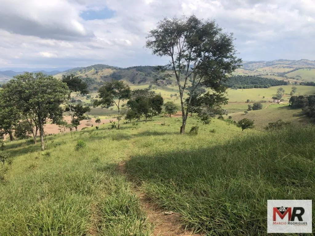 Terreno à venda de 55 ha em Cachoeira de Minas, MG, Brasil