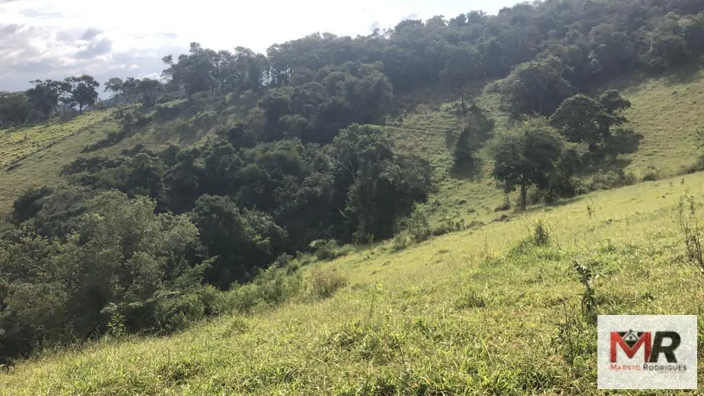 Terreno à venda de 55 ha em Cachoeira de Minas, MG, Brasil