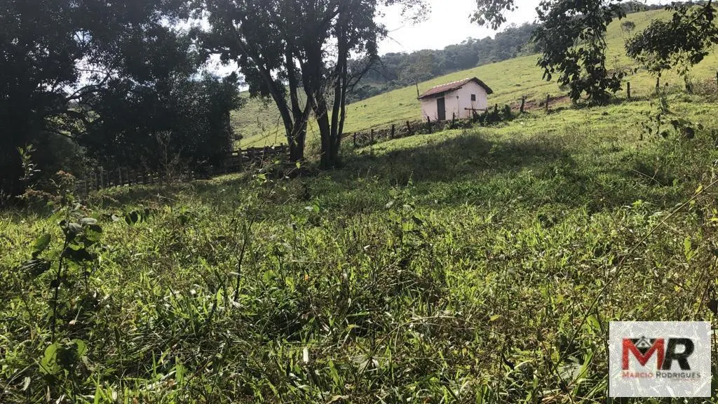 Terreno à venda de 55 ha em Cachoeira de Minas, MG, Brasil