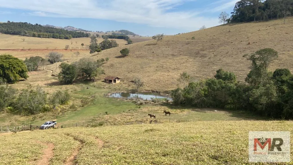 Terreno à venda de 55 ha em Cachoeira de Minas, MG, Brasil