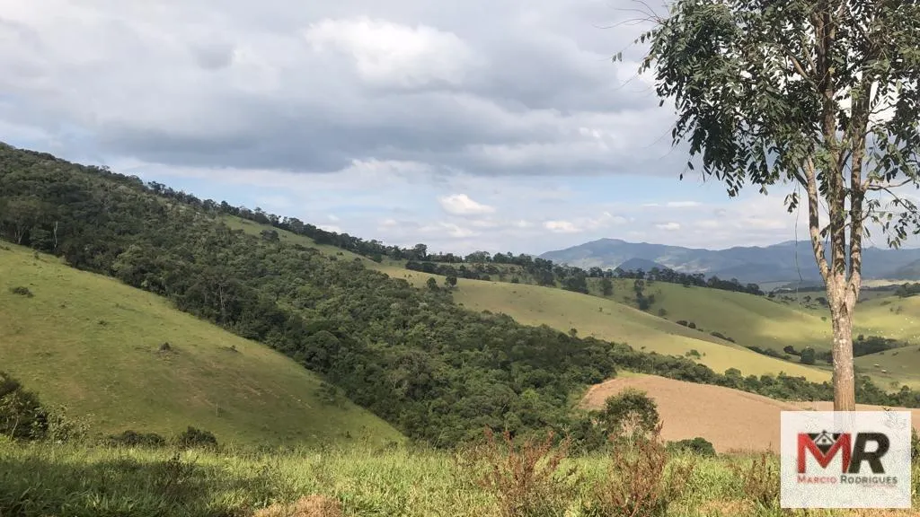 Terreno à venda de 55 ha em Cachoeira de Minas, MG, Brasil