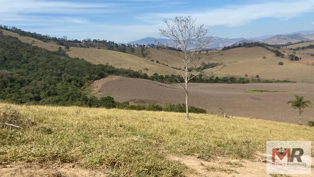 Terreno à venda de 55 ha em Cachoeira de Minas, MG, Brasil