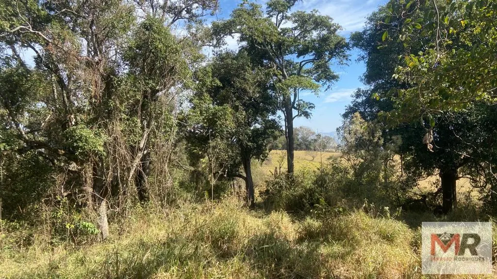 Terreno à venda de 55 ha em Cachoeira de Minas, MG, Brasil