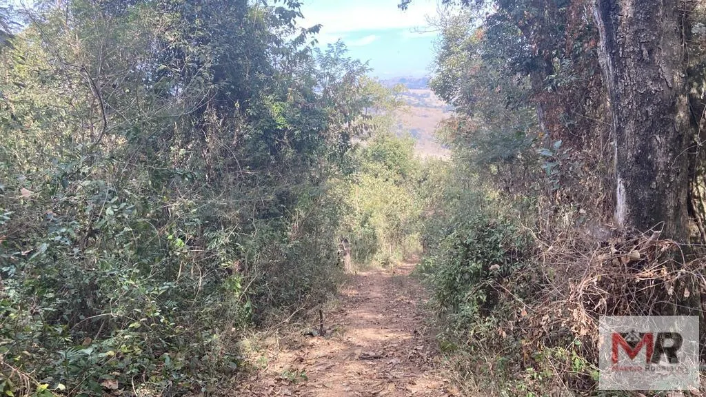 Terreno à venda de 55 ha em Cachoeira de Minas, MG, Brasil