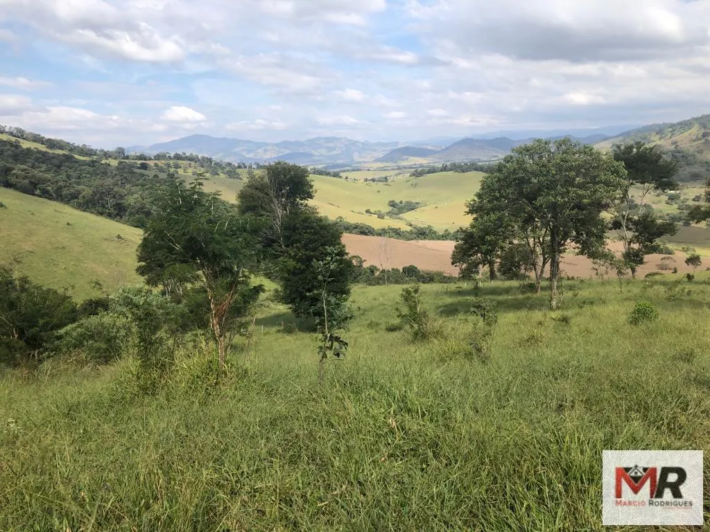 Terreno à venda de 55 ha em Cachoeira de Minas, MG, Brasil