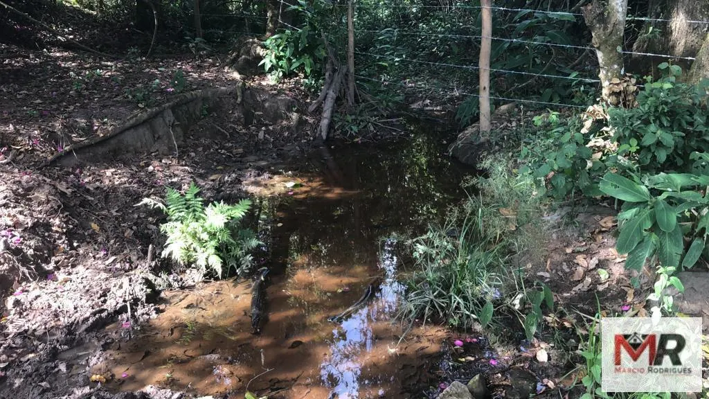 Terreno à venda de 55 ha em Cachoeira de Minas, MG, Brasil