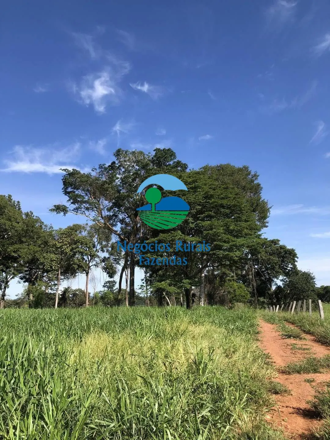 Fazenda à venda de 677 ha em Campinorte, GO, Brasil